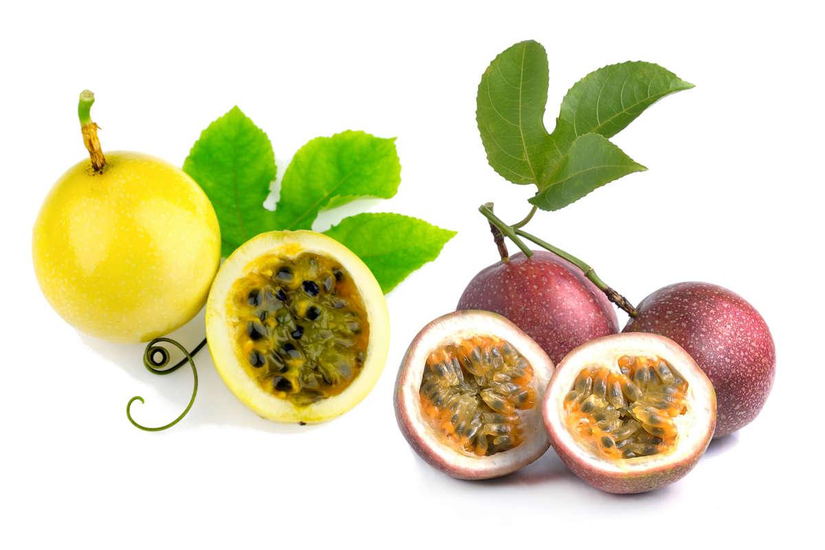 Differences between yellow and purple passion Fruits - Oxfarm